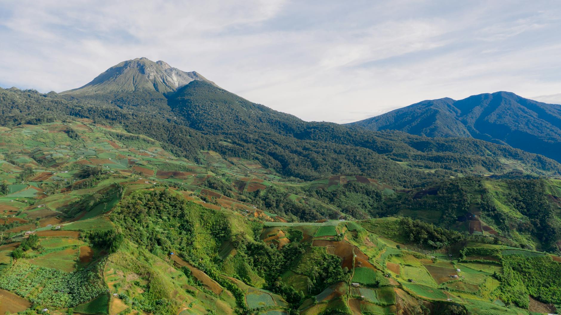 Climate Disinformation and Red-Tagging in Philippines