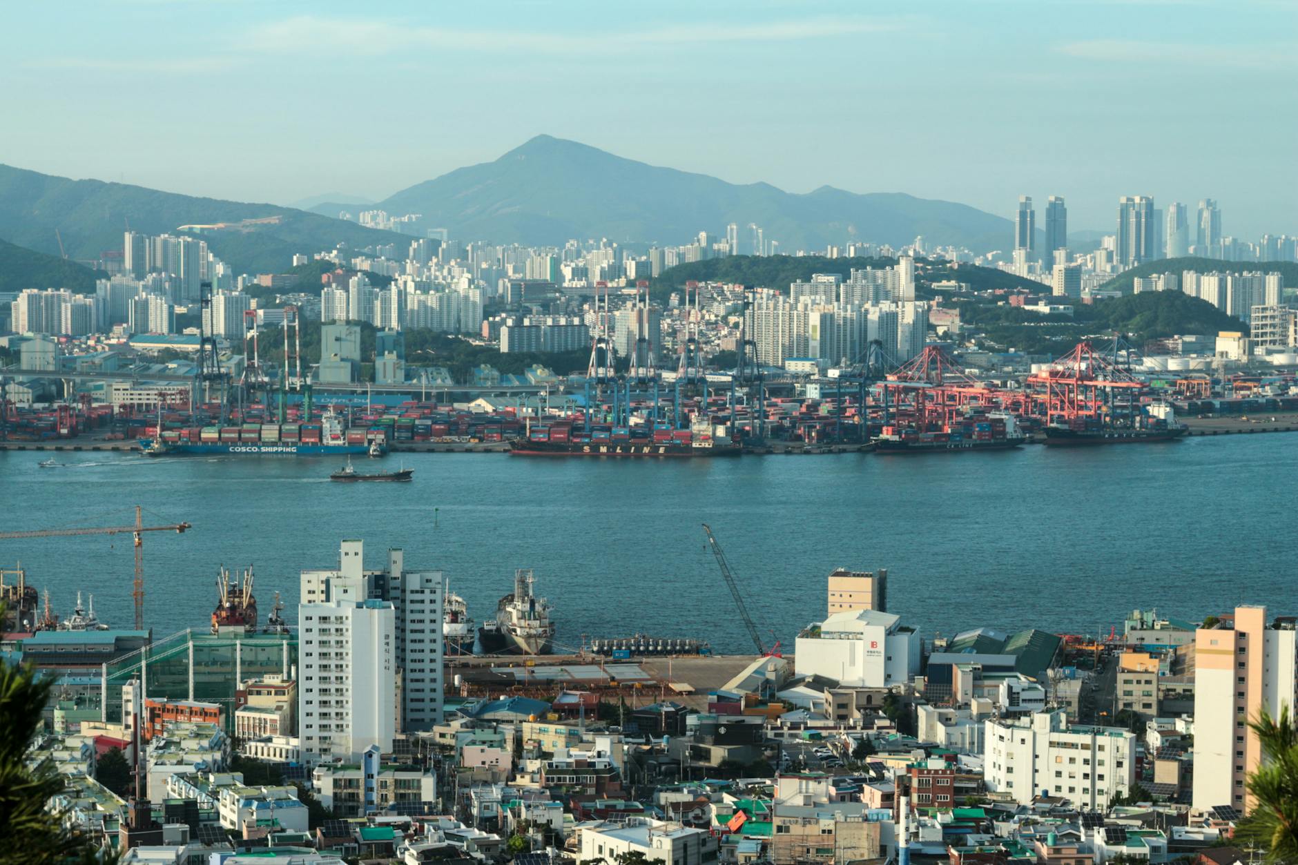 Vietnam-South Korea Supply Chain & Nuclear Energy Partnership