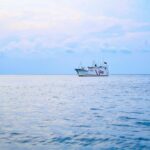 Quad Maritime Surveillance: Indian Ocean Security Strategy